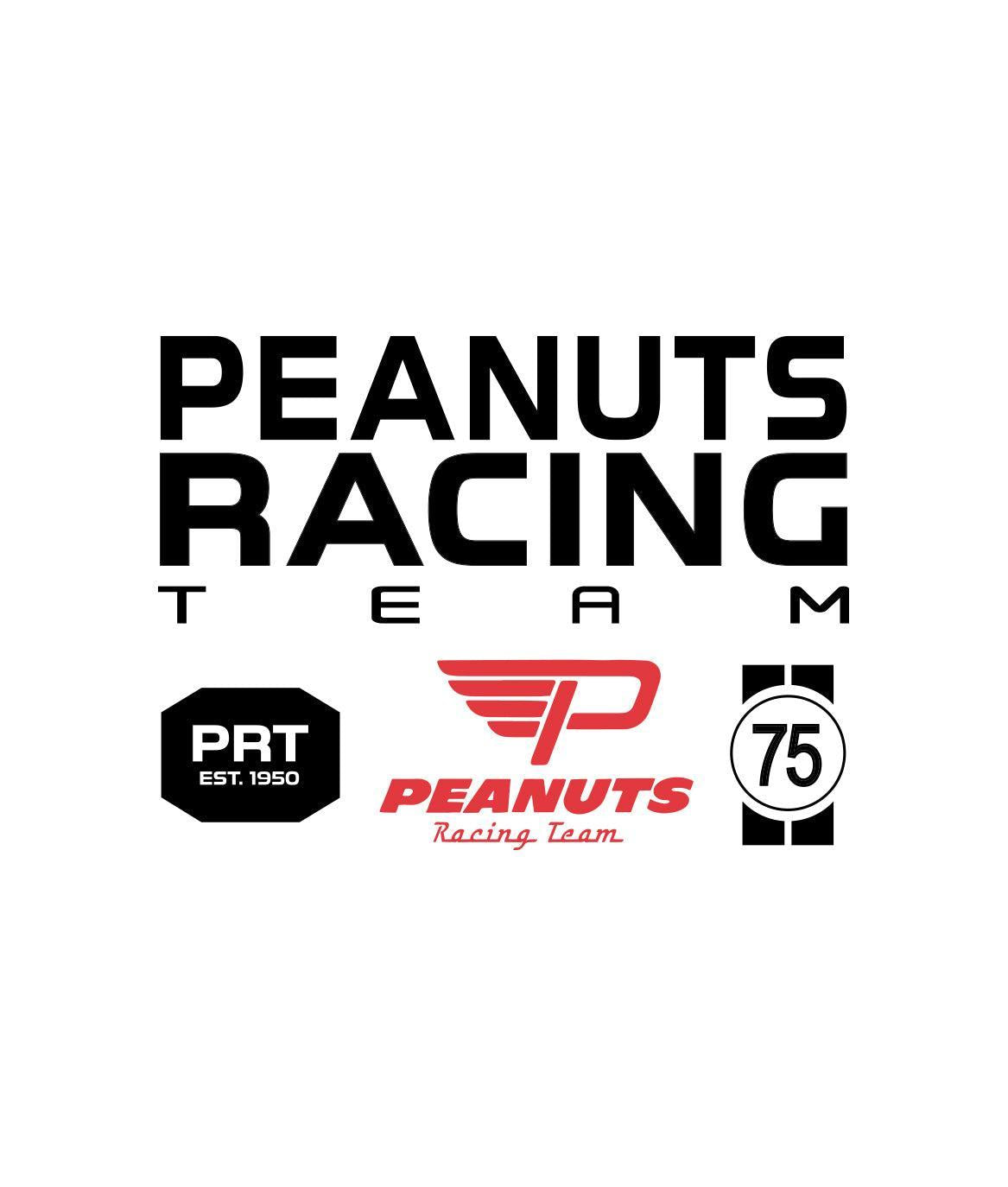 Peanuts Snoopy & Woodstock Racing Team Womens Tee - - Riot Society