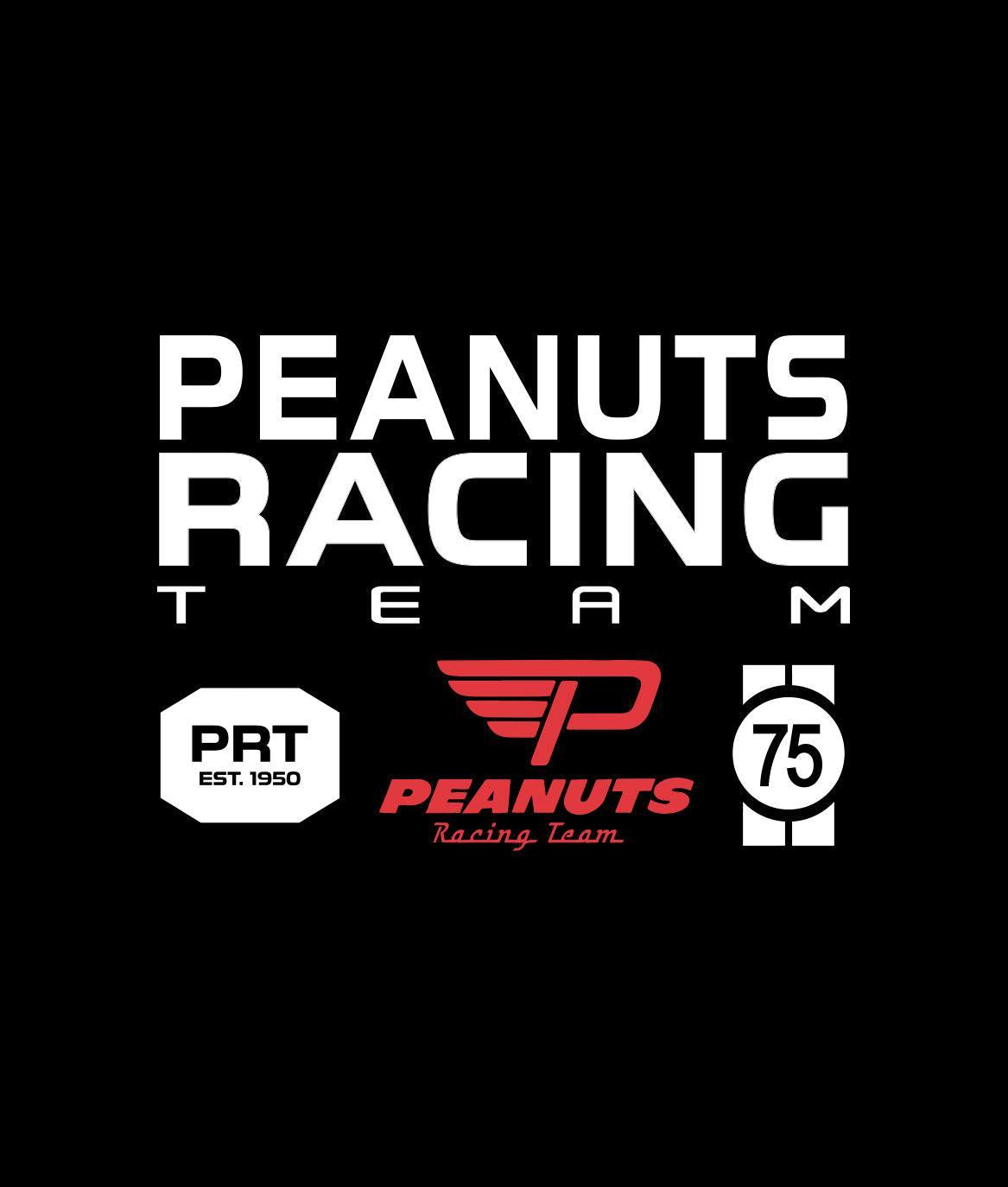 Peanuts Snoopy & Woodstock Racing Team Boys Tee - Black - - Riot Society