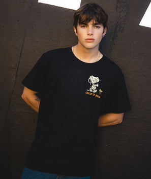 Peanuts Snoopy & Woodstock Mummy Mens T-Shirt