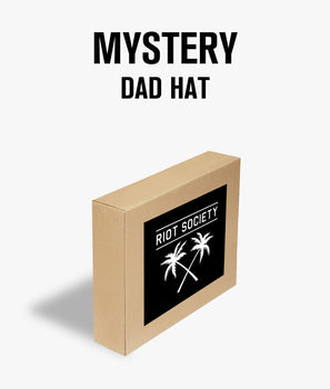 Mystery Embroidered Dad Hat - OS - Riot Society